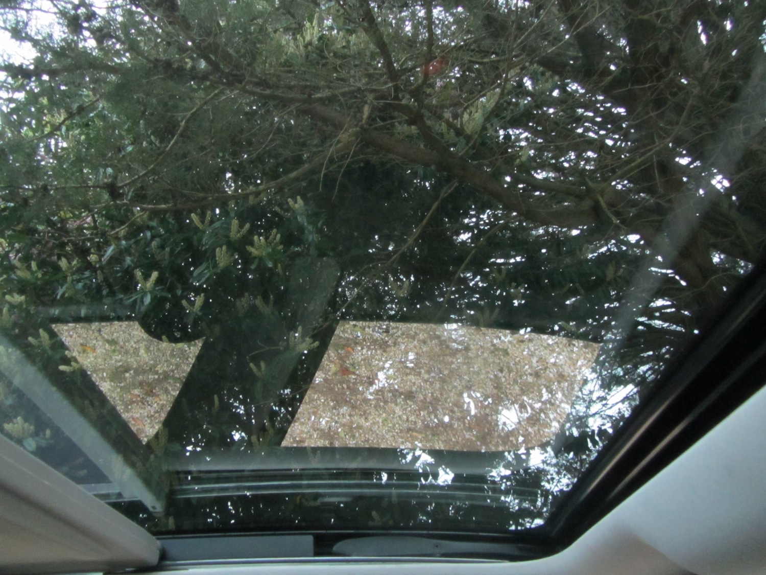 Used Kia Sportage 2015 for sale - 78180036: Photo 12