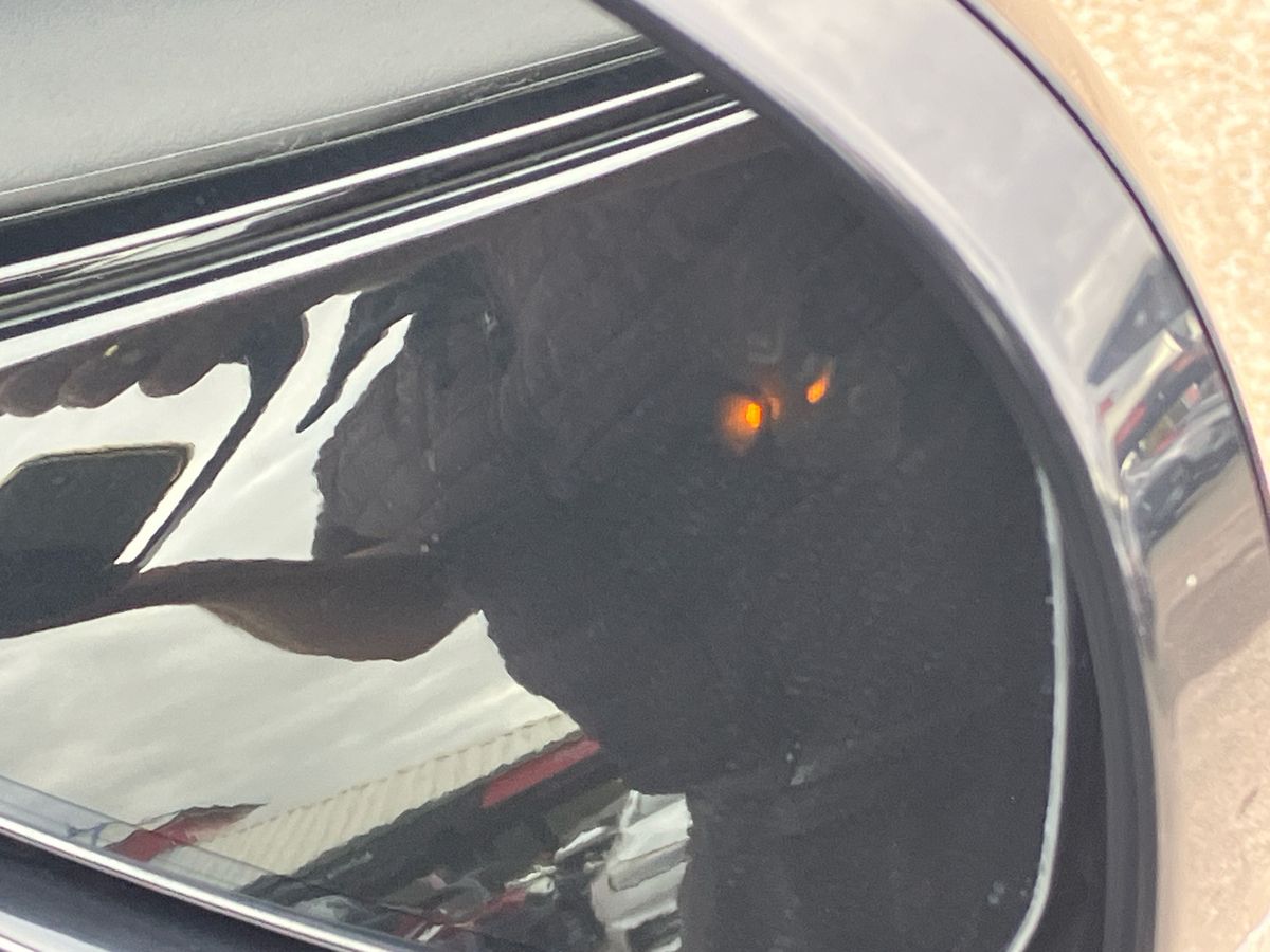 Used Jaguar I-Pace 2020 for sale - 76577586: Photo 30