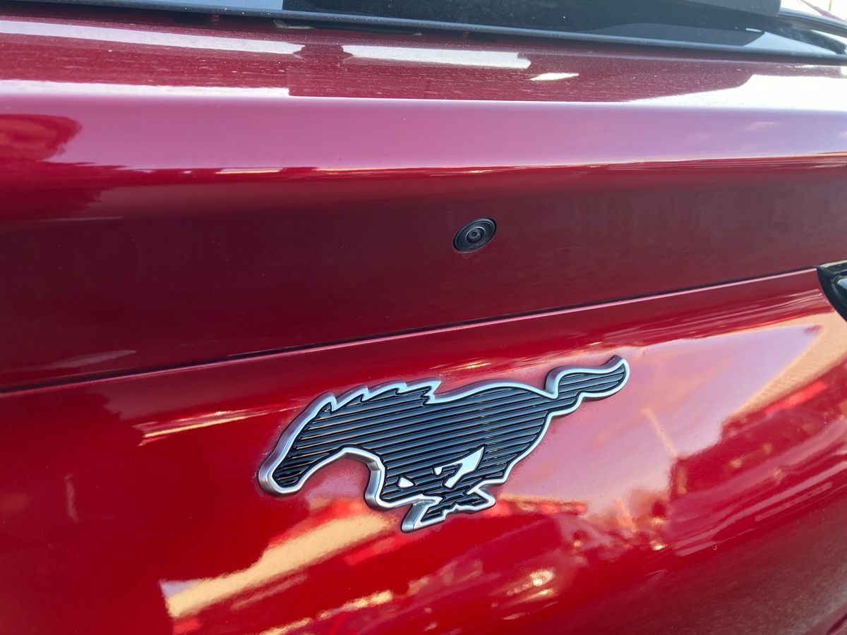 Used Ford Mustang Mach-E 2023 for sale - 77113672: Photo 22