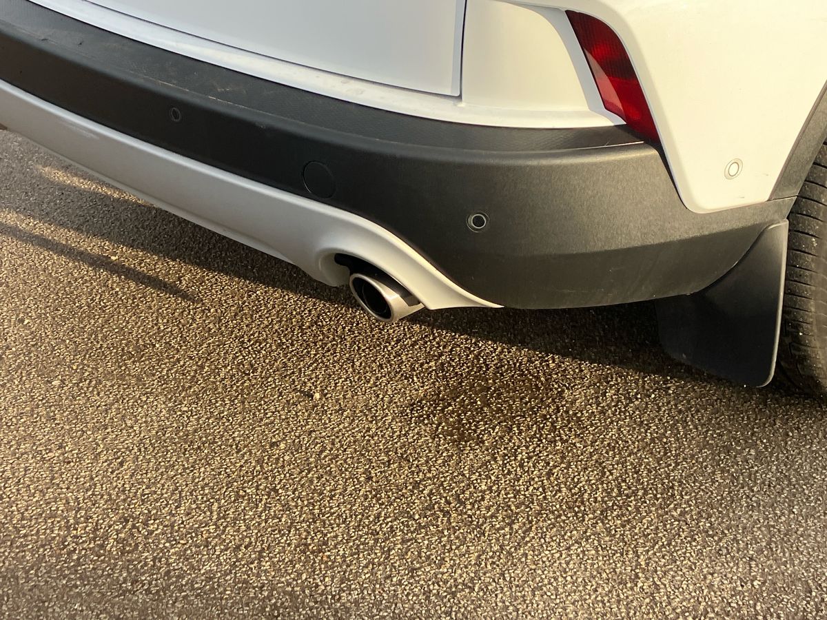 Used Ford Kuga 2020 for sale - 76382814: Photo 24