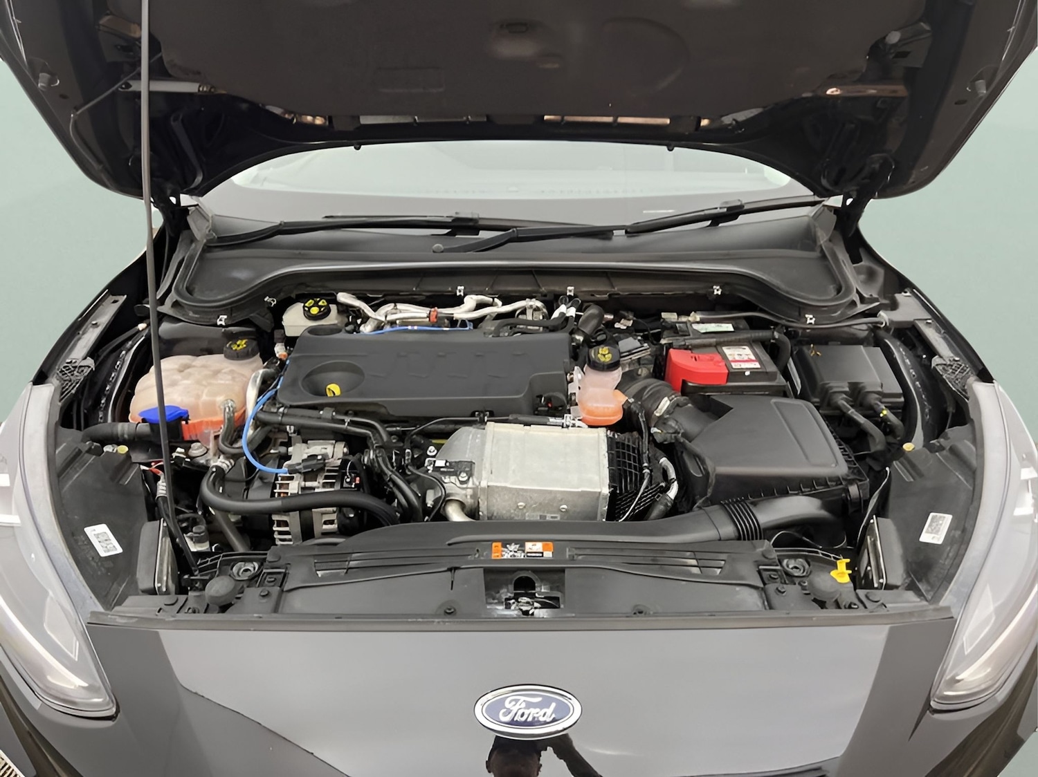 Used Ford Focus 2022 for sale - 76403009: Photo 36