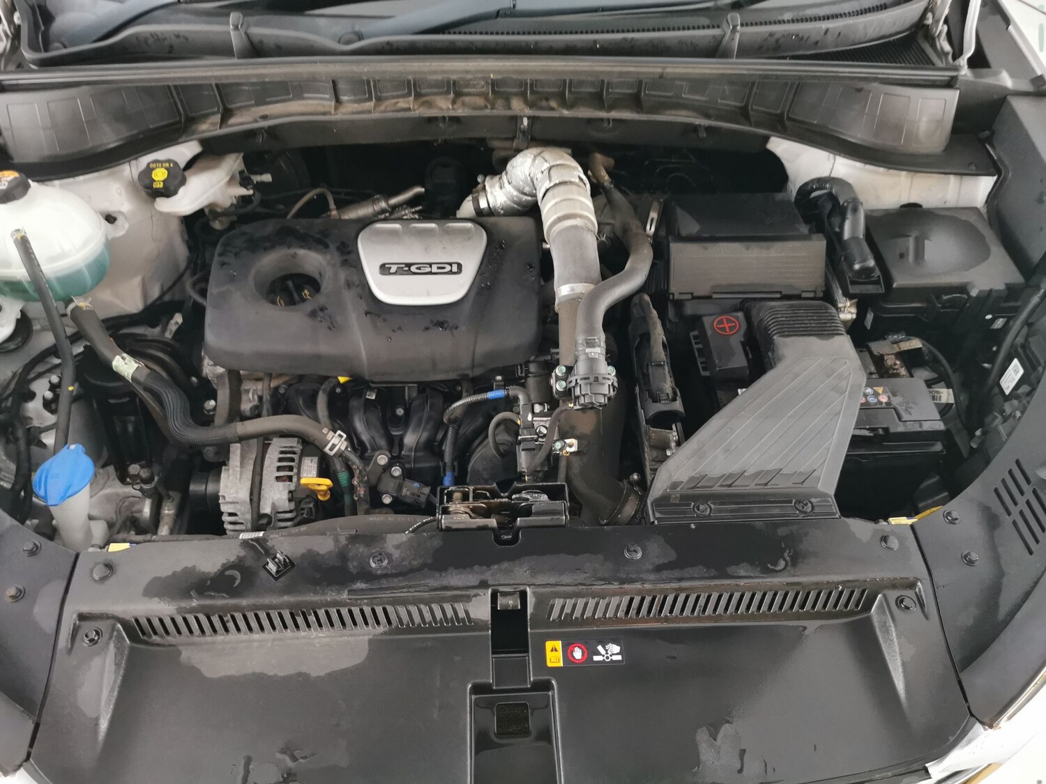 Used Hyundai TUCSON for sale - 77686109: Photo 33