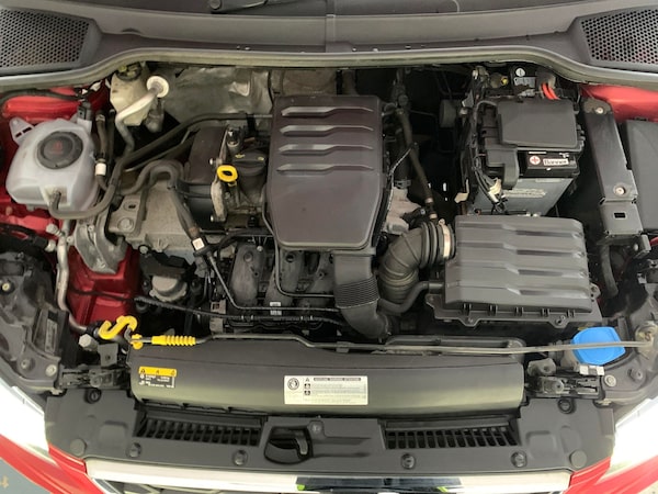 Used SEAT Ibiza 2019 for sale - 76271671: Photo 36