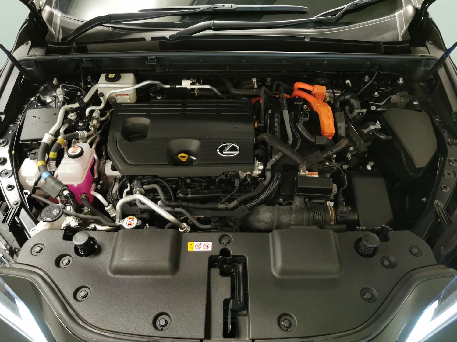 Used Lexus NX 2023 for sale - 78001046: Photo 33