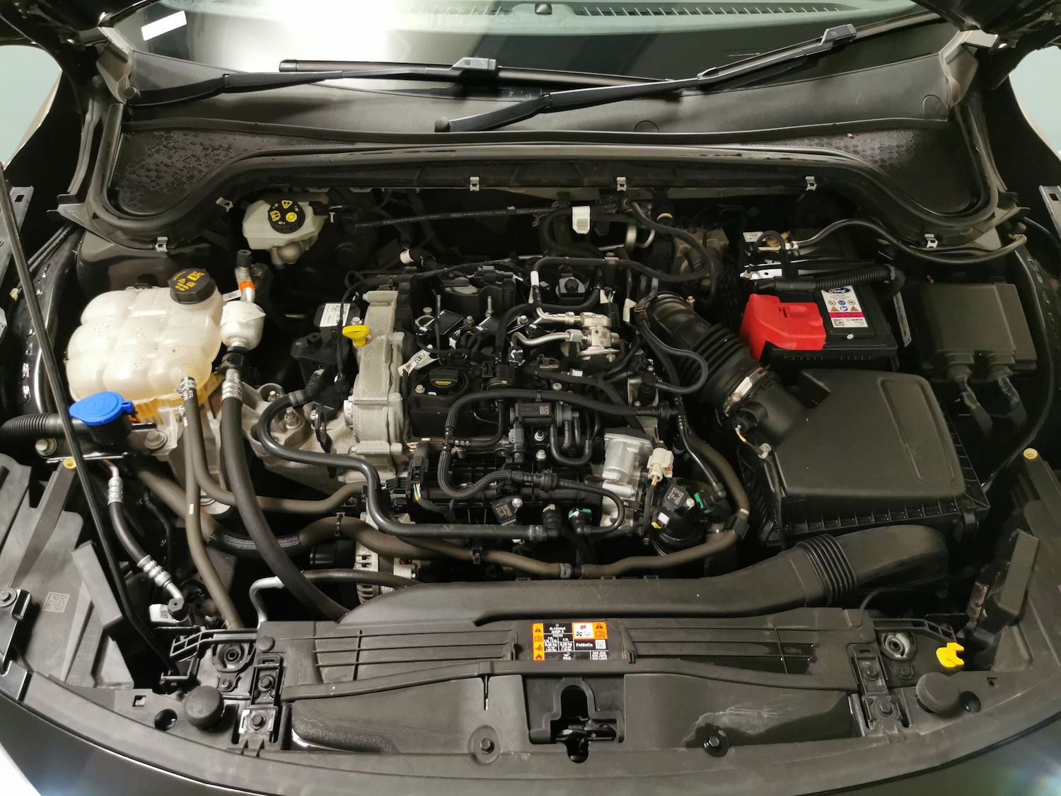 Used Ford Focus 2023 for sale - 76626409: Photo 32