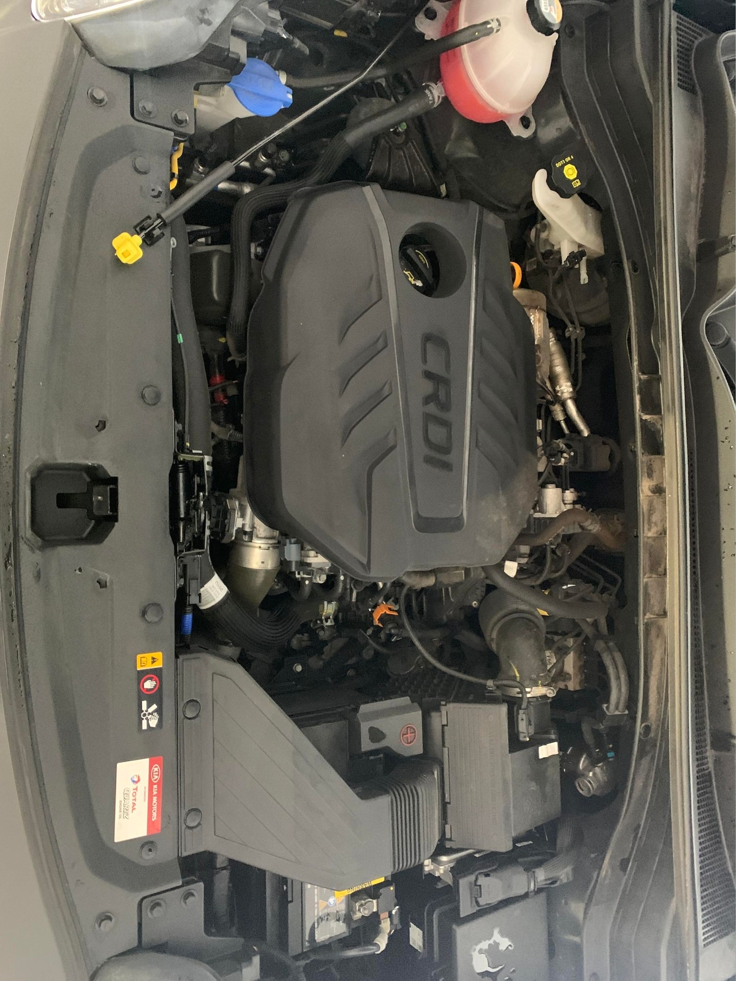 Used Kia Sportage 2022 for sale - 77061923: Photo 30