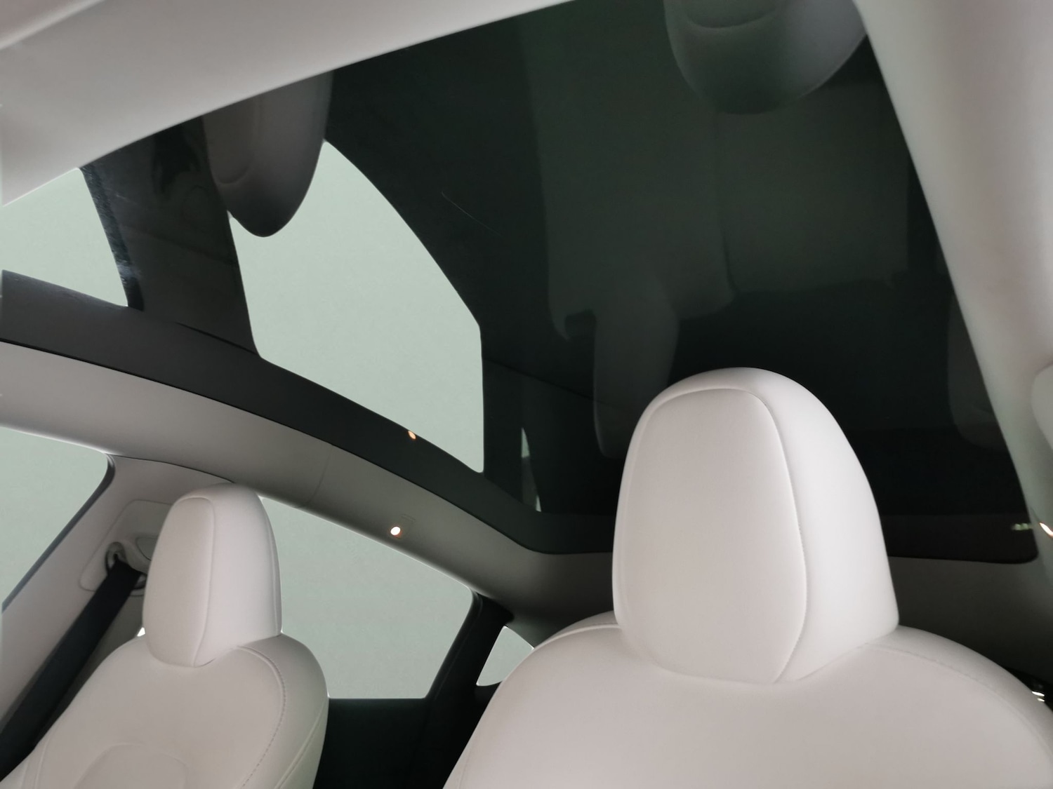 Used Tesla Model Y 2022 for sale - 77023863: Photo 5