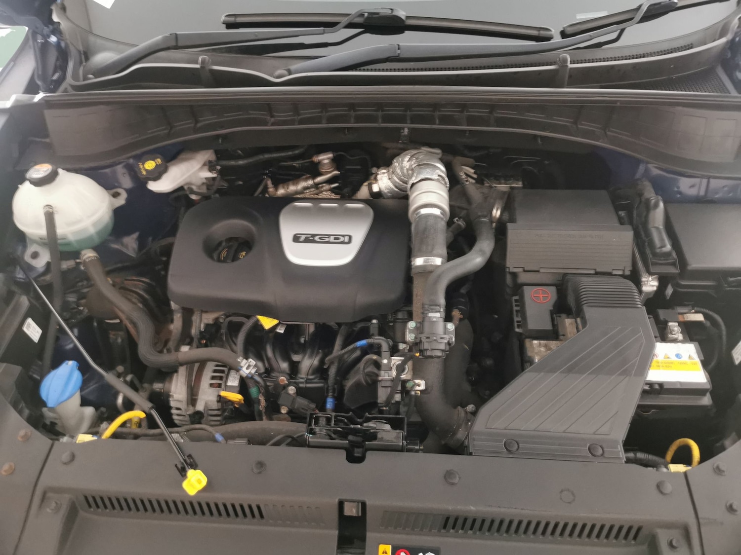 Used Hyundai TUCSON 2019 for sale - 77083736: Photo 37