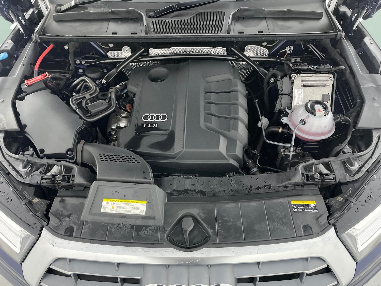 Used Audi Q5 2019 for sale - 76353537: Photo 46