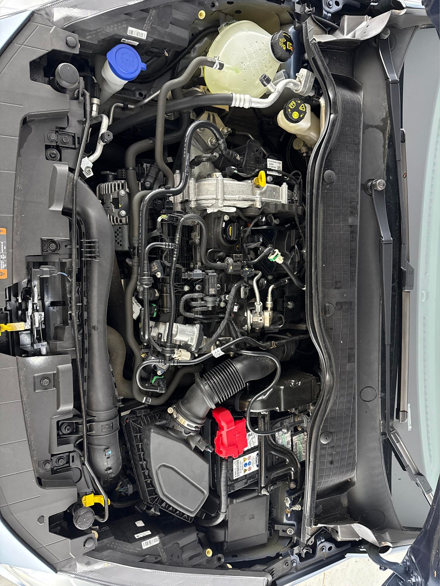 Used Ford Fiesta 2023 for sale - 77932425: Photo 32