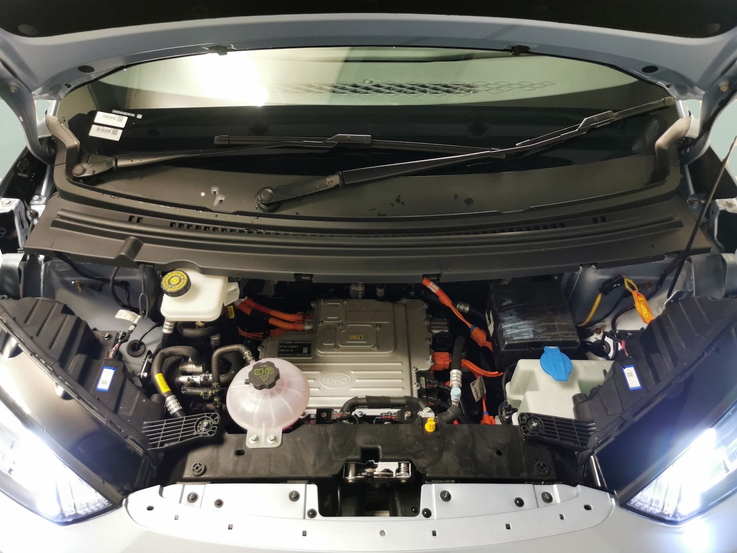 Used BYD Dolphin 2025 for sale - 76445167: Photo 39