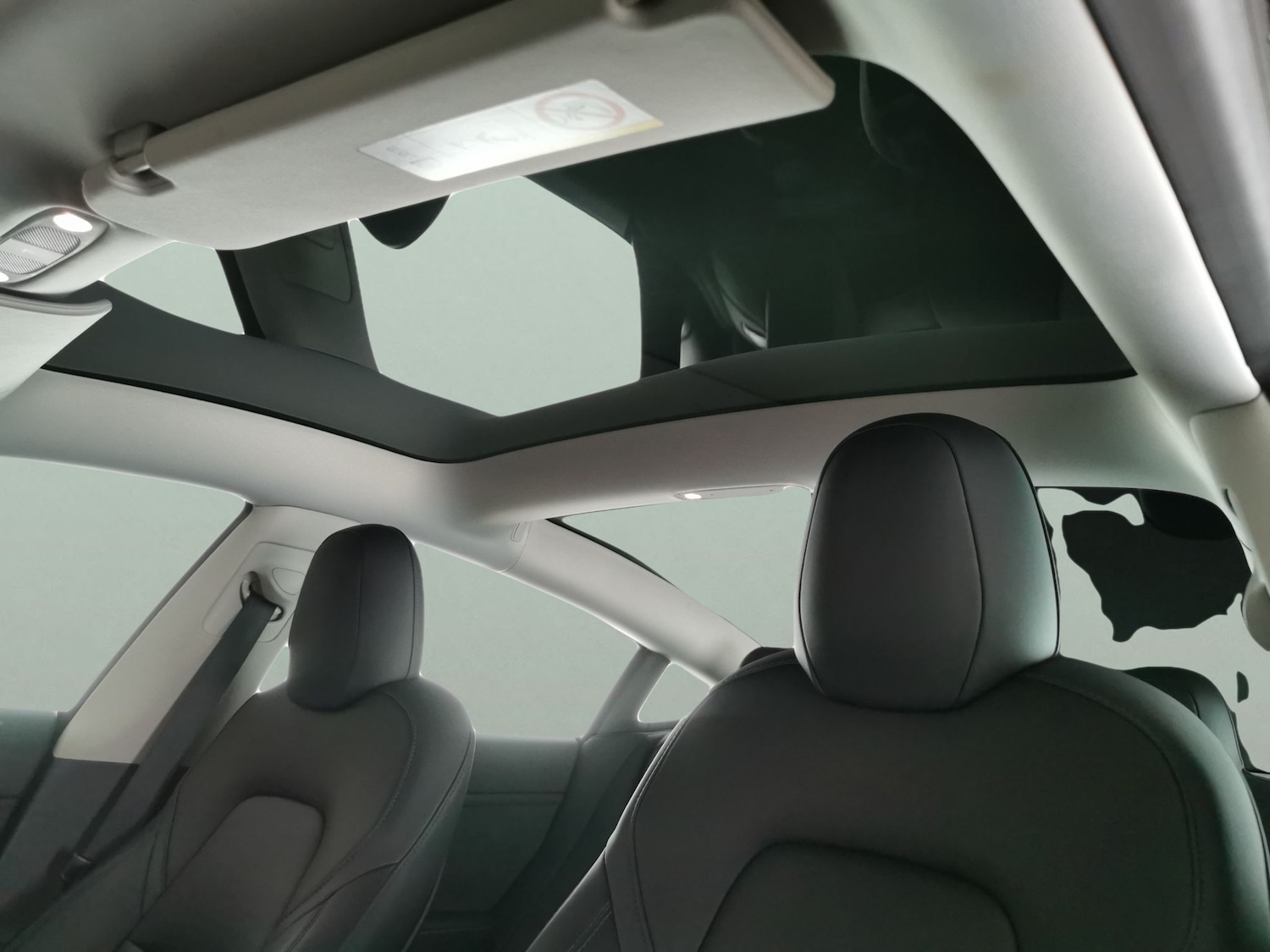 Used Tesla Model 3 2022 for sale - 77776040: Photo 5