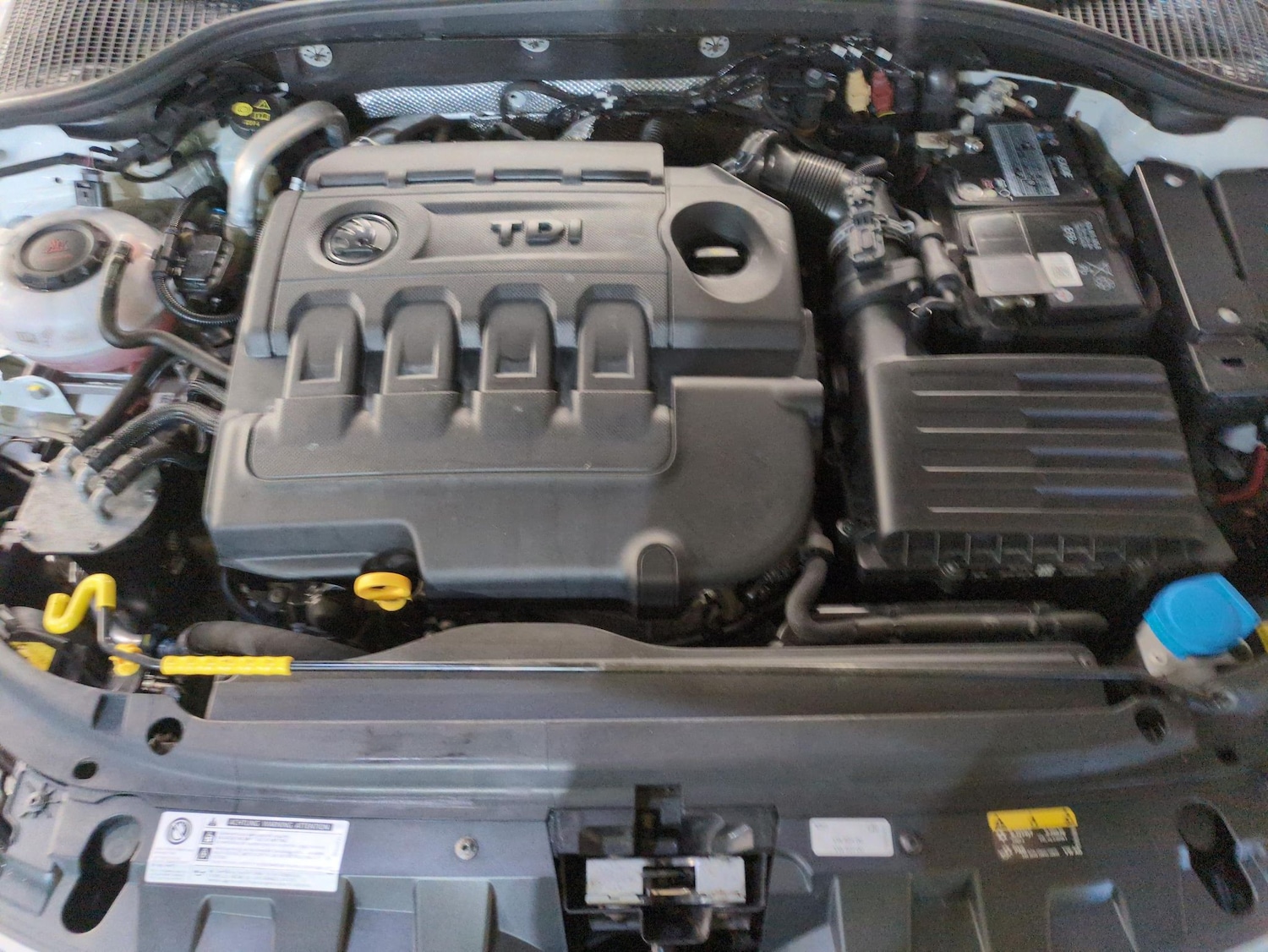 Used Skoda Octavia 2019 for sale - 76978255: Photo 27