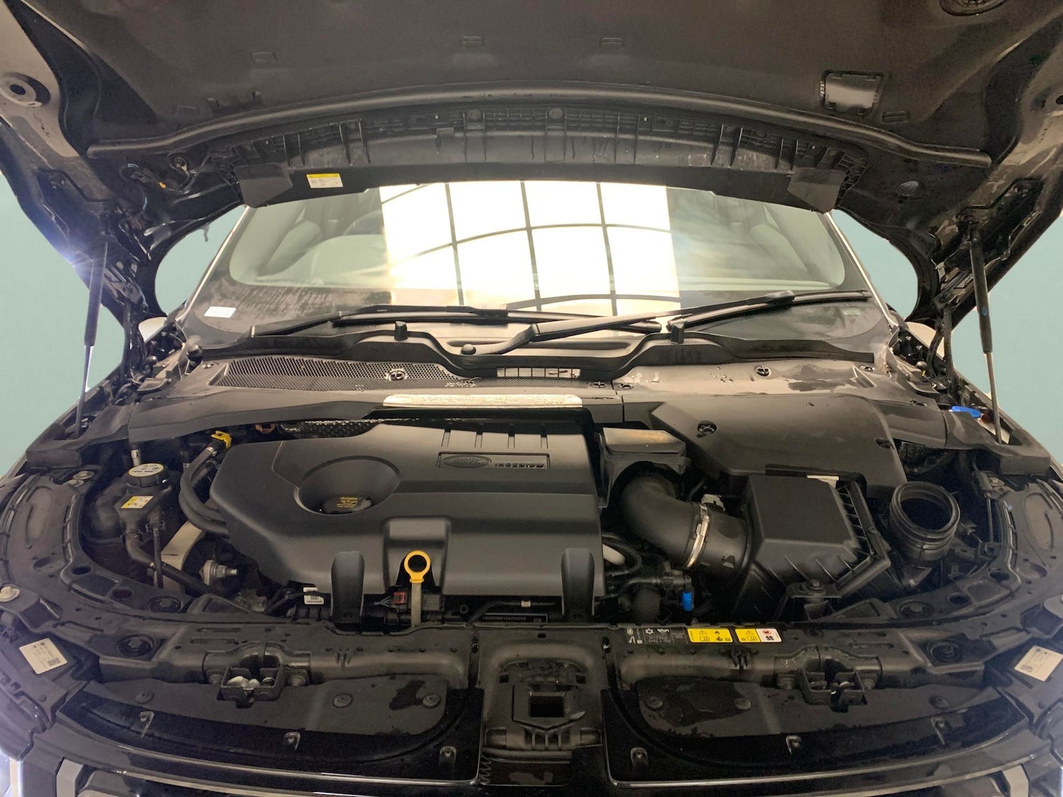 Used Land Rover Range Rover Evoque for sale - 77756887: Photo 31