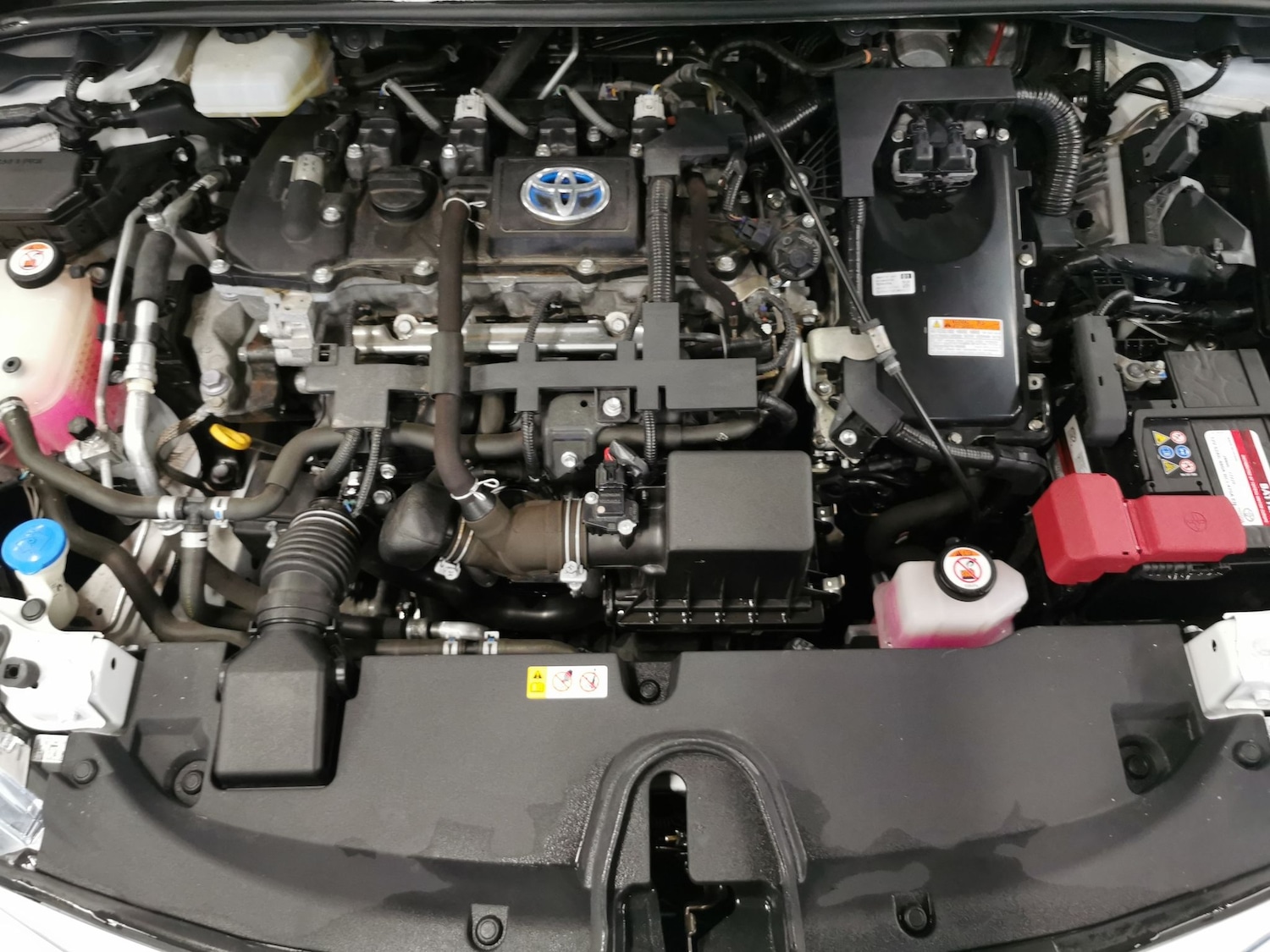 Used Toyota Corolla 2019 for sale - 77701811: Photo 32