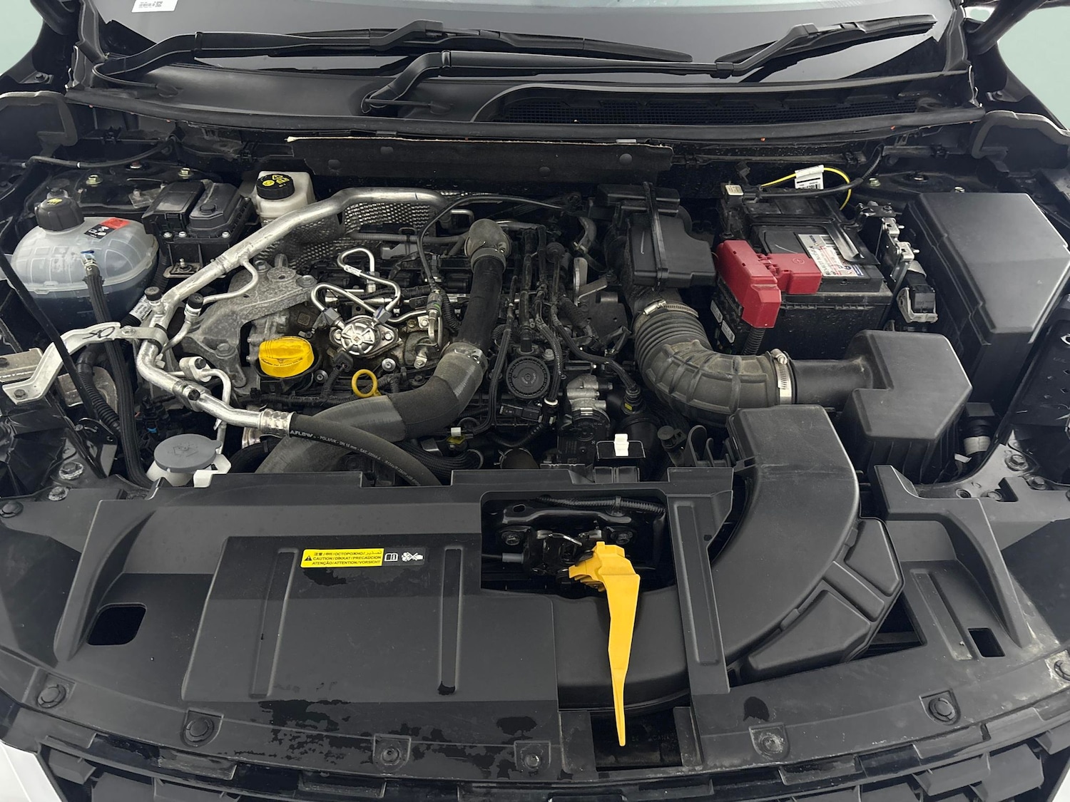 Used Nissan Qashqai for sale - 76464227: Photo 50