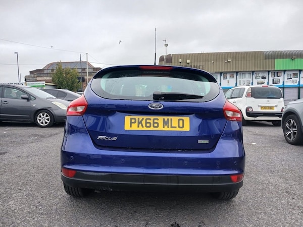 Used Ford Focus 2016 for sale - 76223725: Photo 16