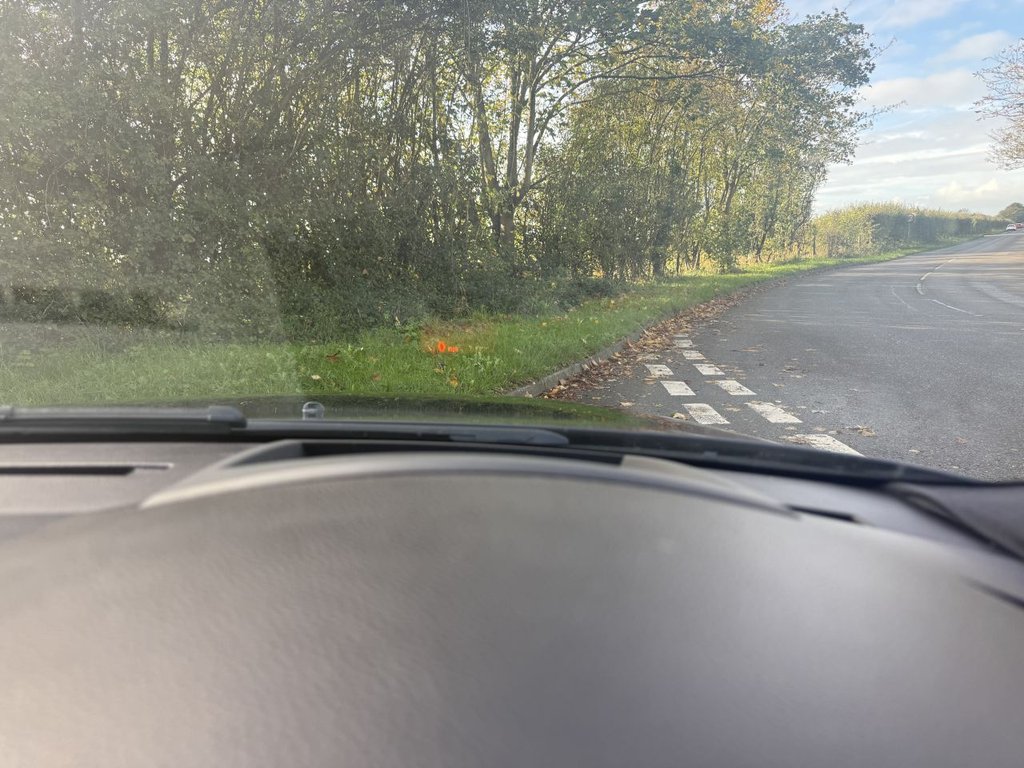 Used BMW 5 Series 2005 for sale - 76376351: Photo 11