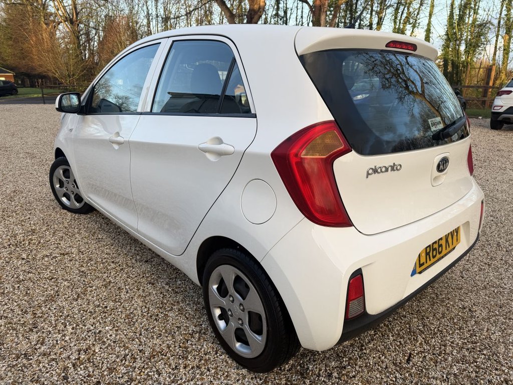 Used Kia Picanto 2016 for sale - 77014579: Photo 8