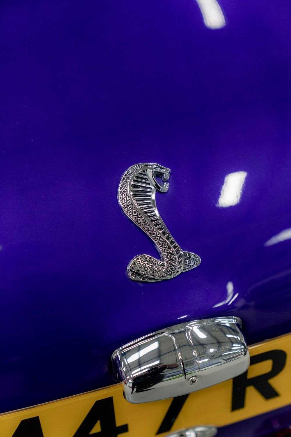 Used AK Cobra 2023 for sale - 75895949: Photo 13