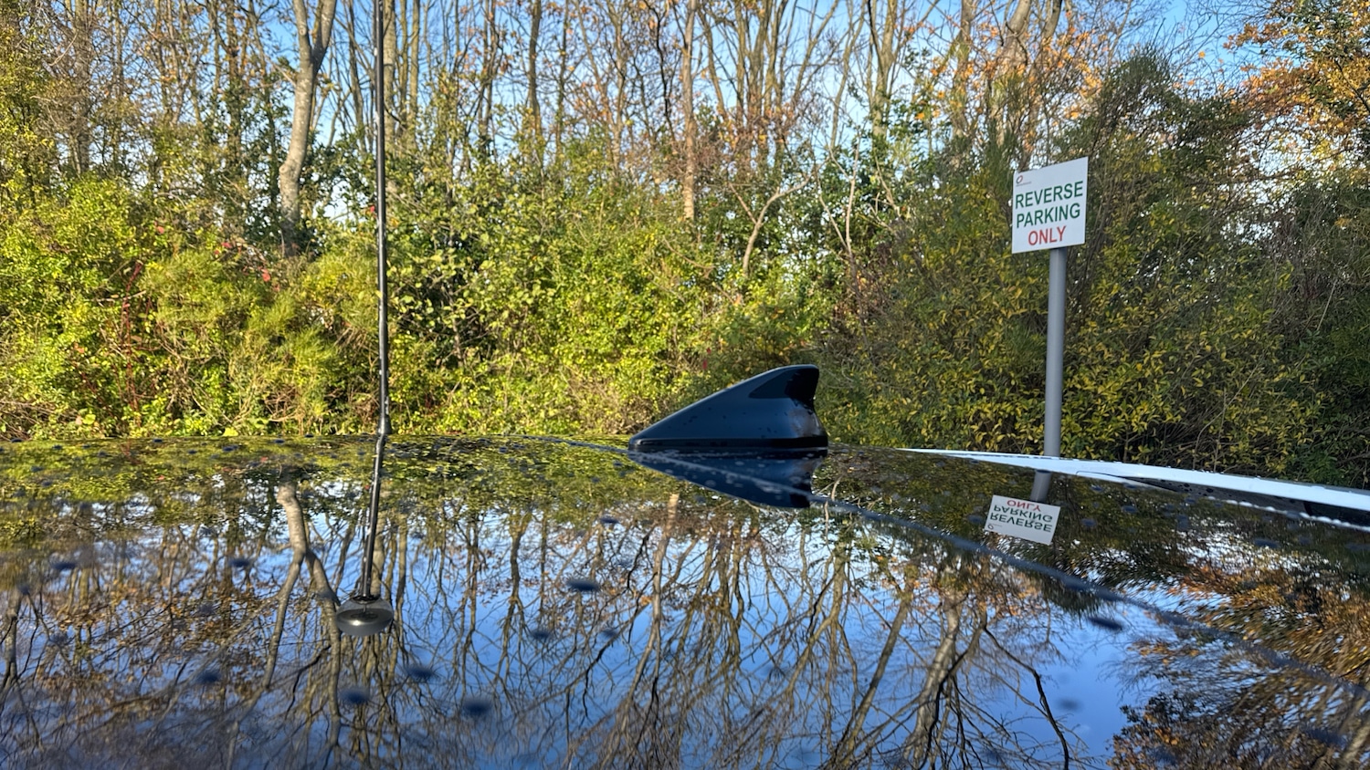 Used Hyundai IONIQ 5 2025 for sale - 77089698: Photo 29