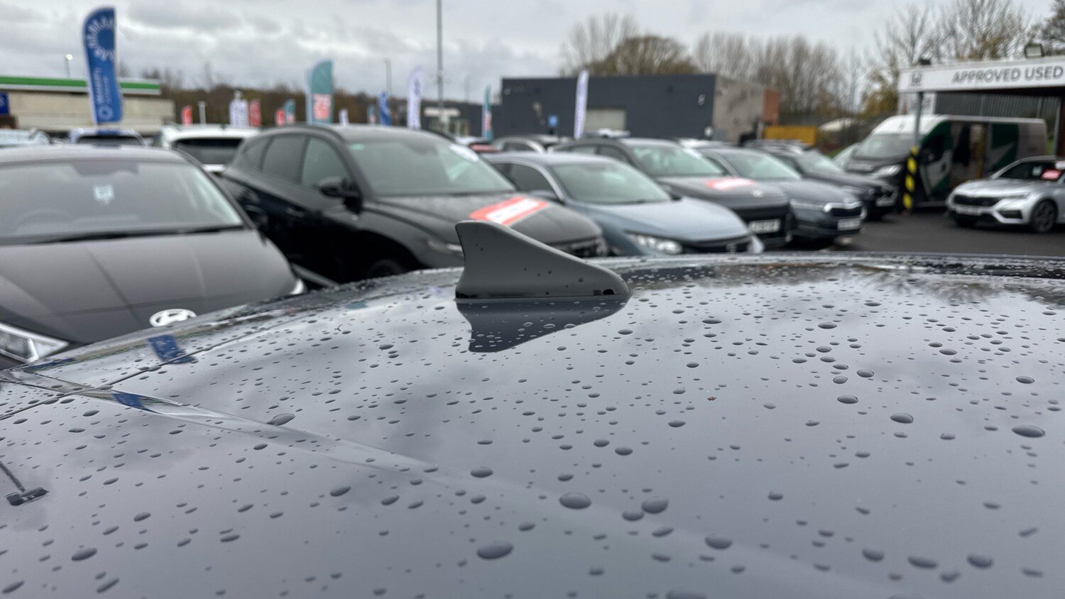 Used Hyundai i20 2025 for sale - 76504354: Photo 28