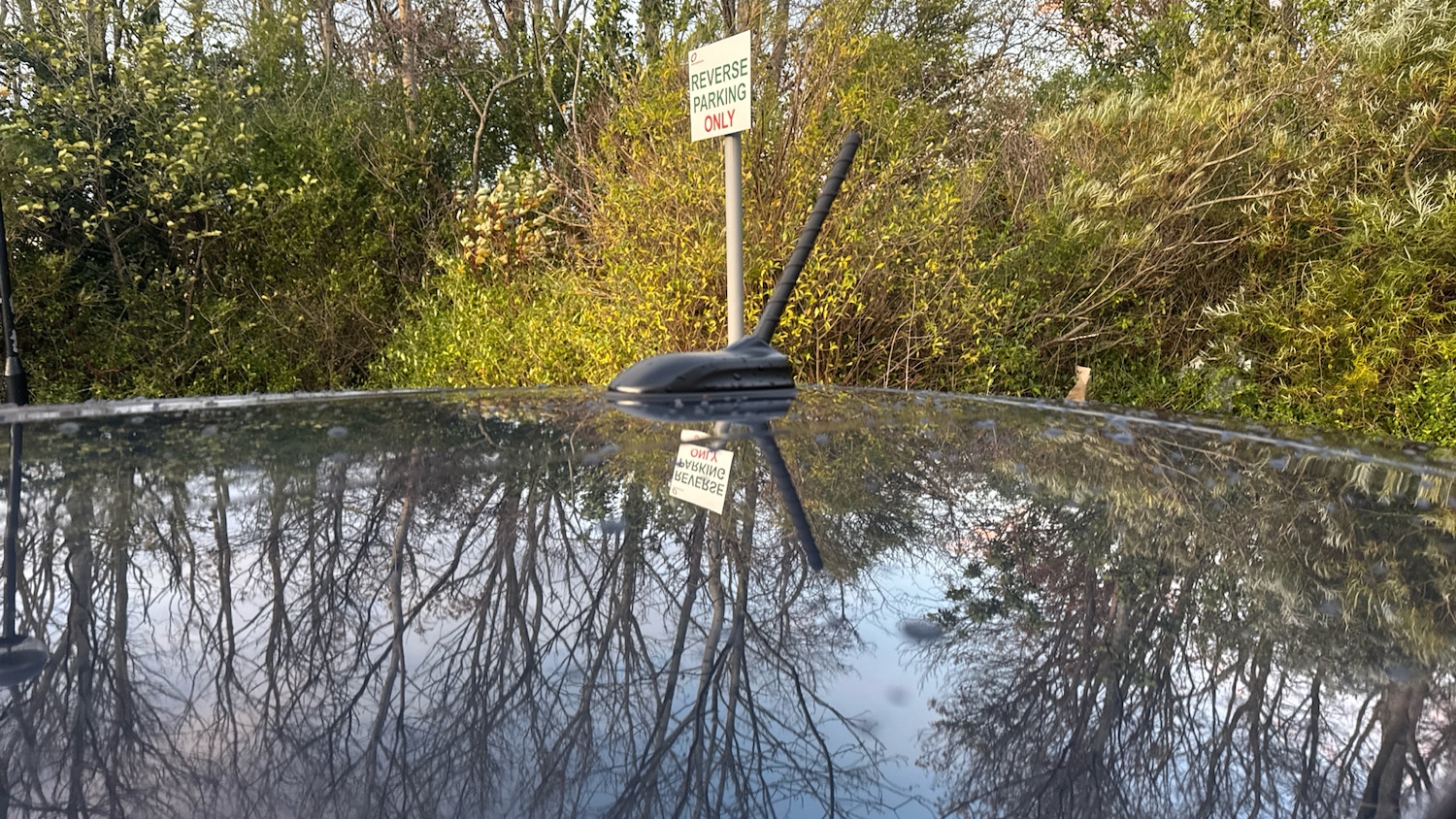 Used Hyundai i10 2023 for sale - 76738657: Photo 28