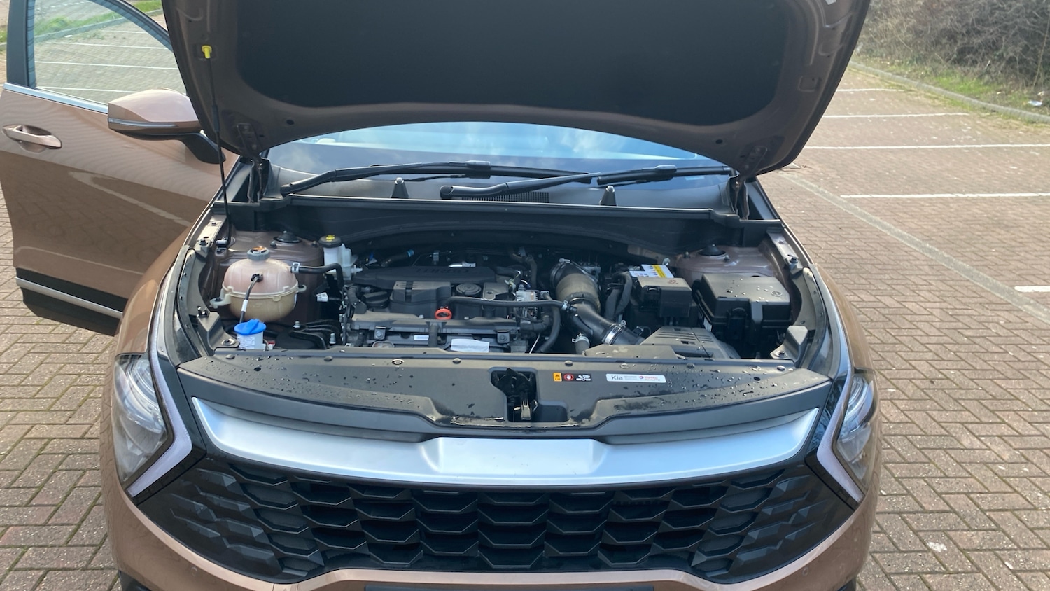 Used Kia Sportage 2022 for sale - 77901490: Photo 8