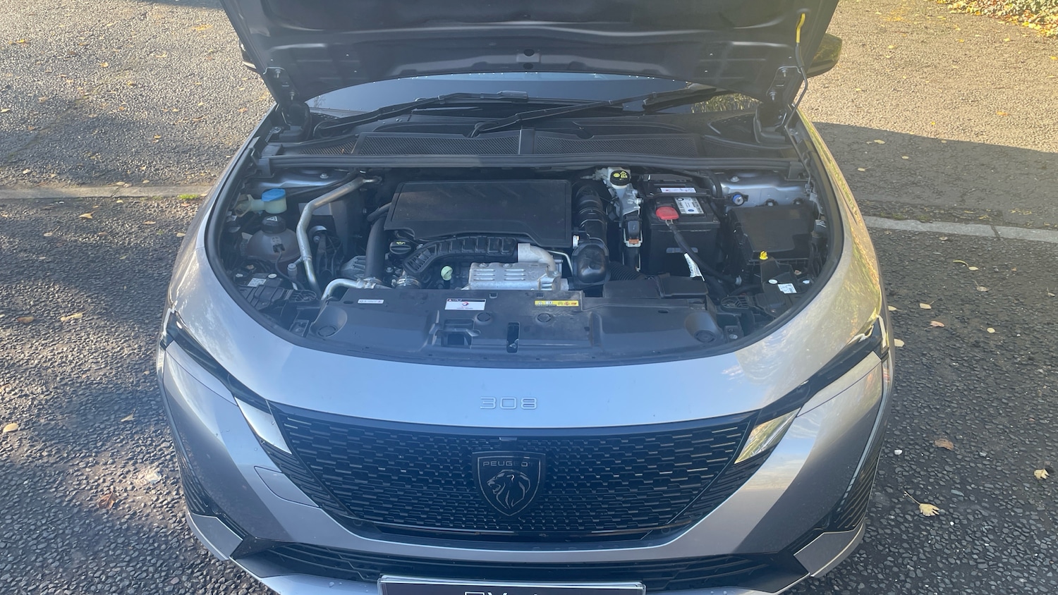 Used Peugeot 308 2023 for sale - 76508011: Photo 8