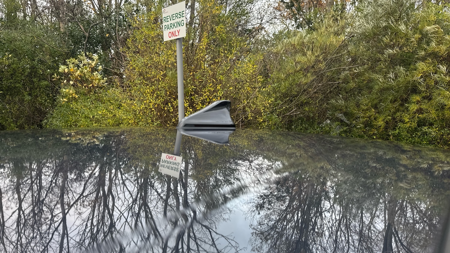 Used Hyundai i20 2024 for sale - 76779255: Photo 21