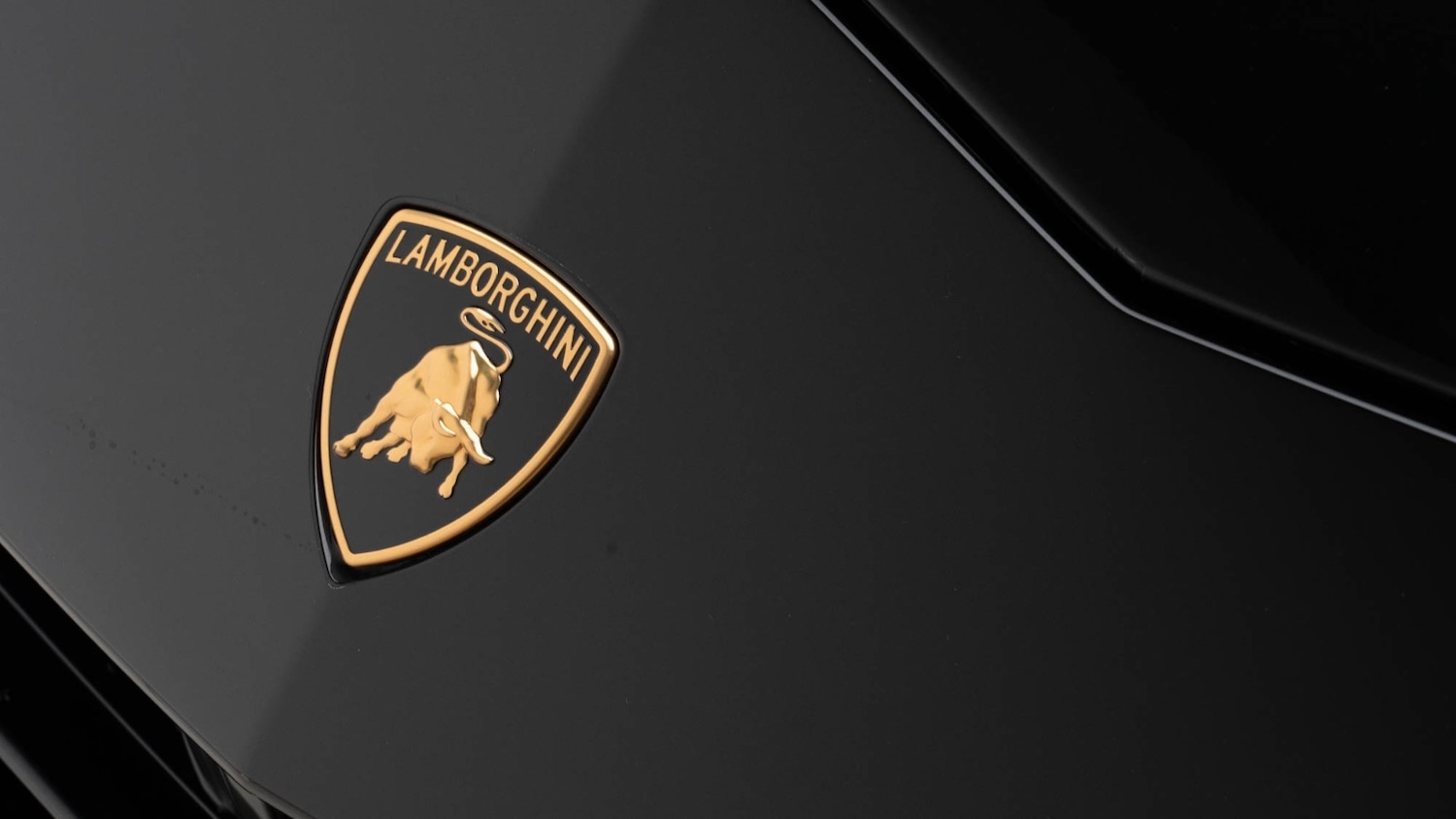 Used Lamborghini Urus 2023 for sale - 76479894: Photo 11