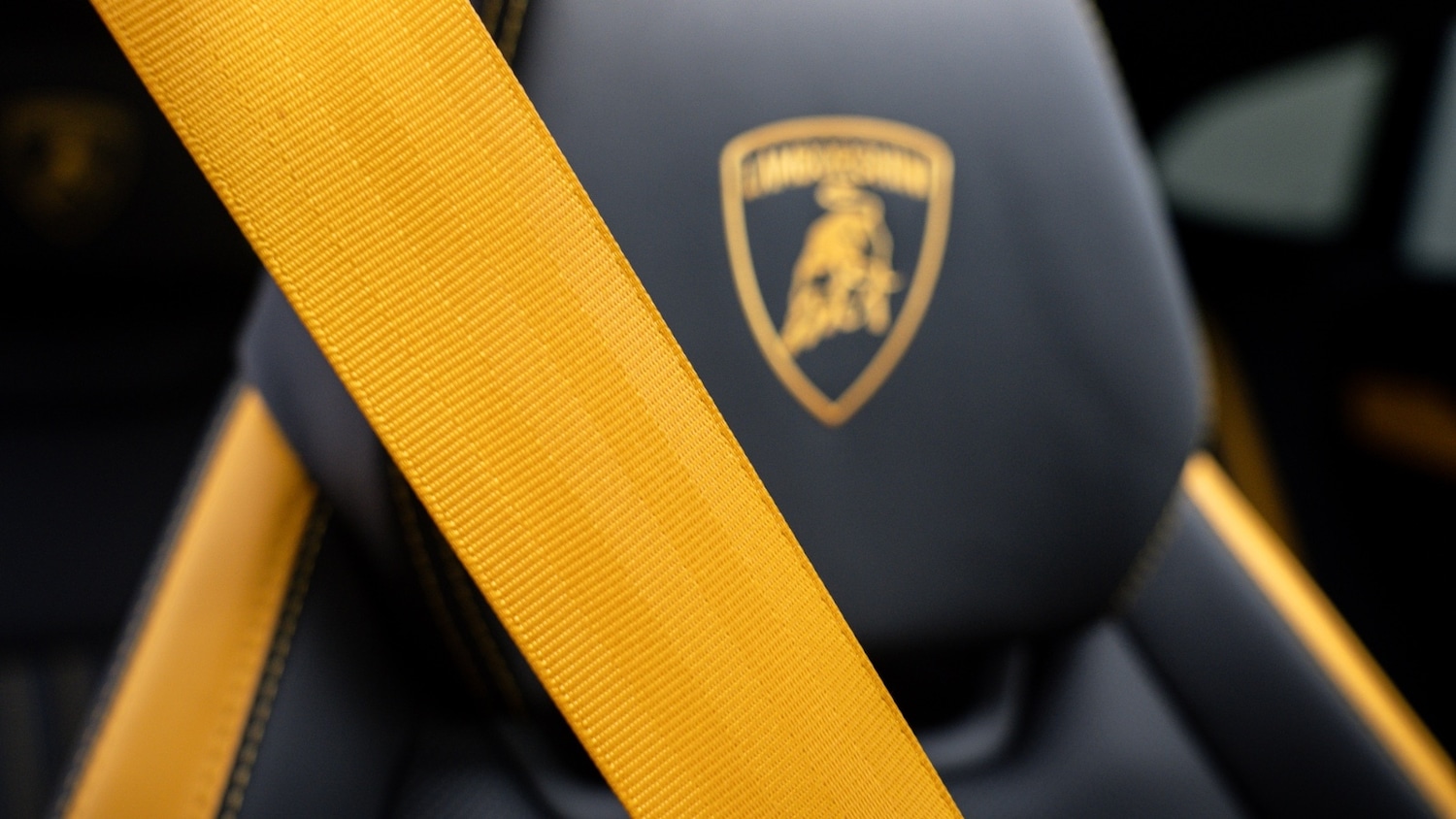 Used Lamborghini Urus 2025 for sale - 76894757: Photo 29