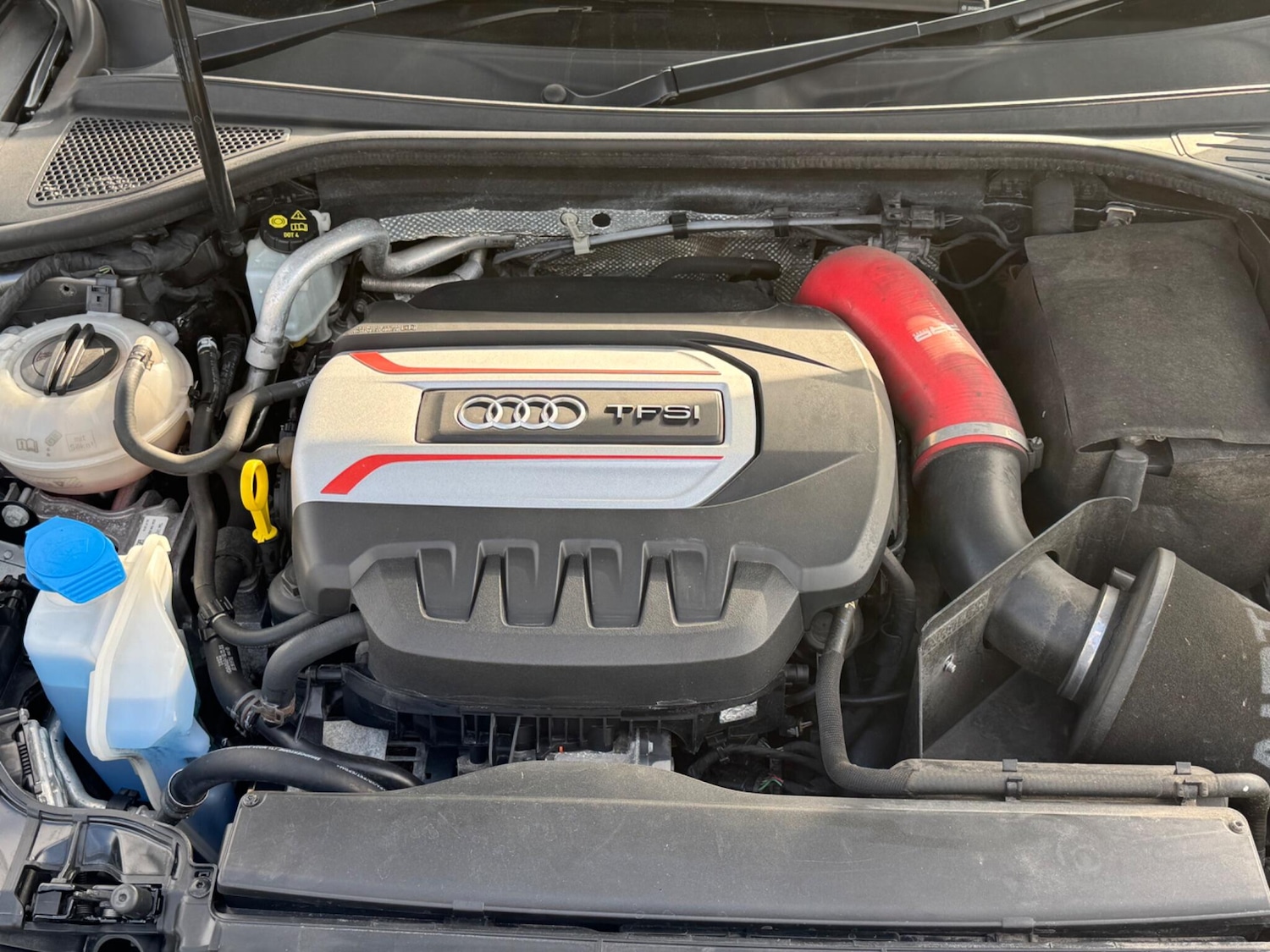 Used Audi S3 for sale - 77768521: Photo 31