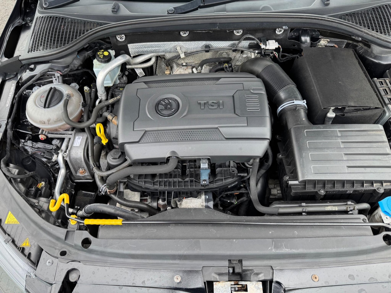 Used Skoda Octavia 2015 for sale - 77683028: Photo 31