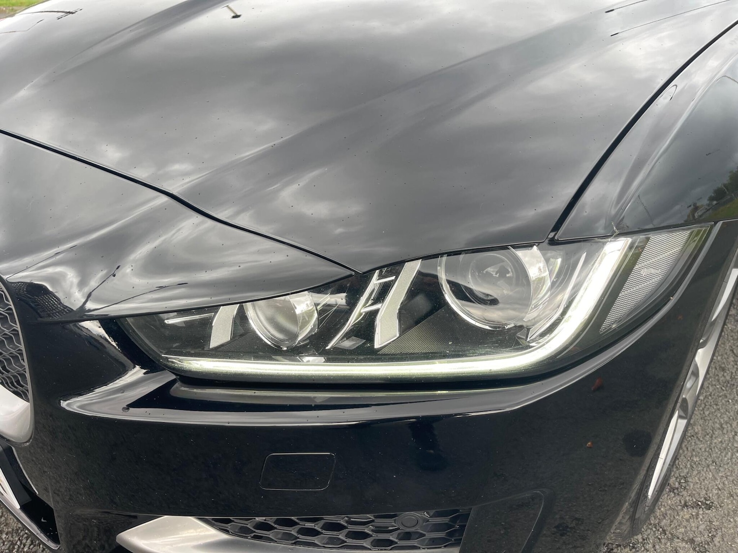 Used Jaguar XE 2016 for sale - 76995568: Photo 28