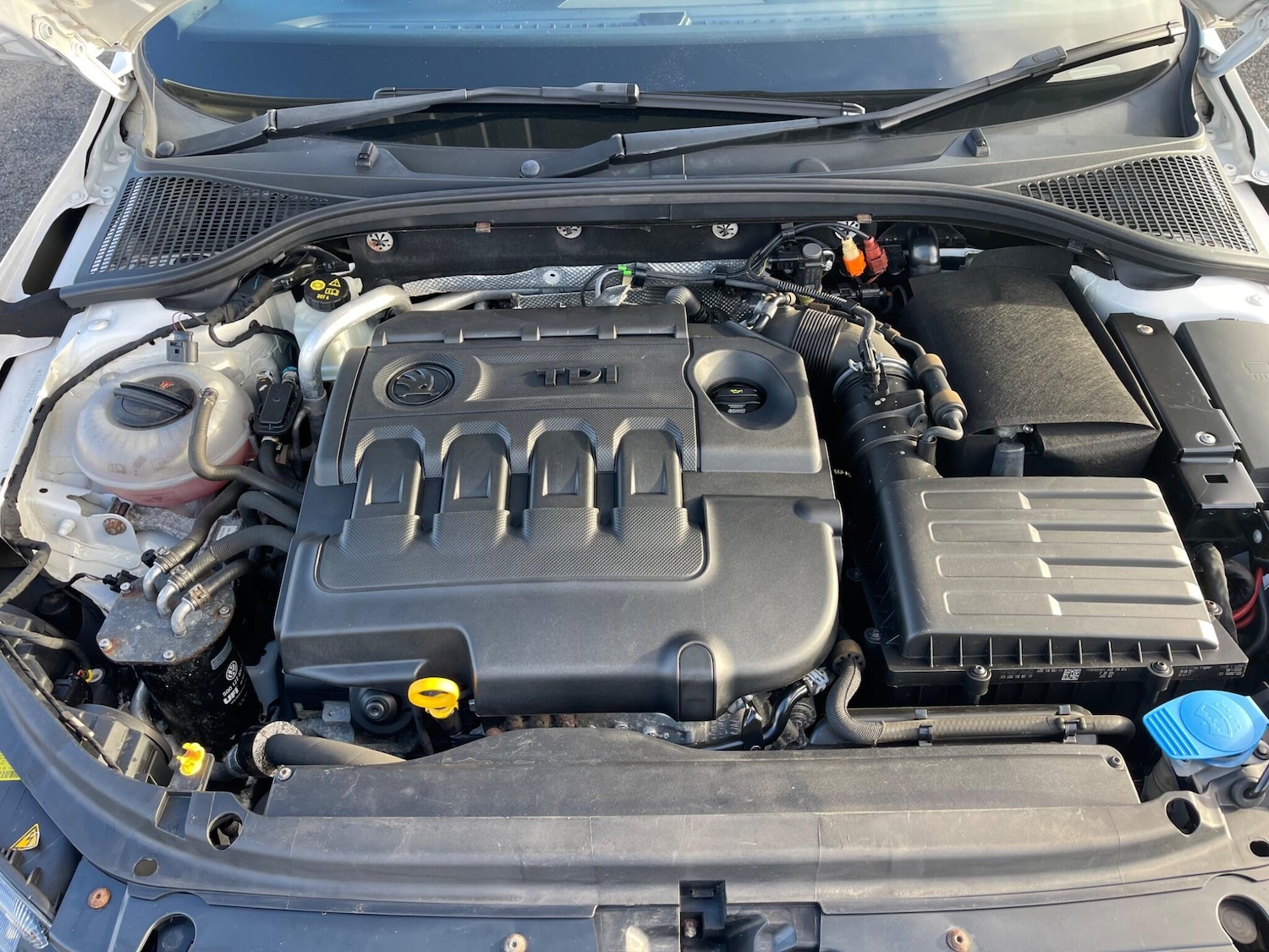 Used Skoda Octavia 2015 for sale - 76996695: Photo 35