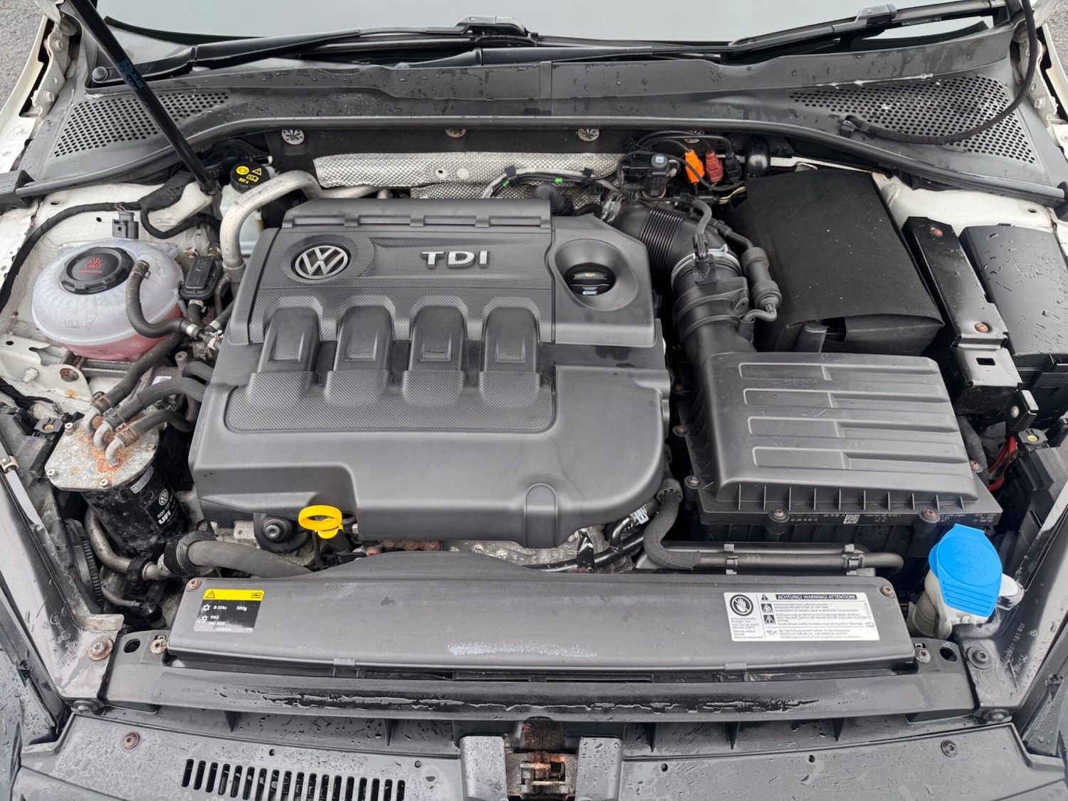 Used Volkswagen Golf for sale - 77550096: Photo 36