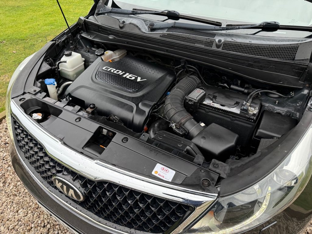 Used Kia Sportage 2015 for sale - 77276016: Photo 11