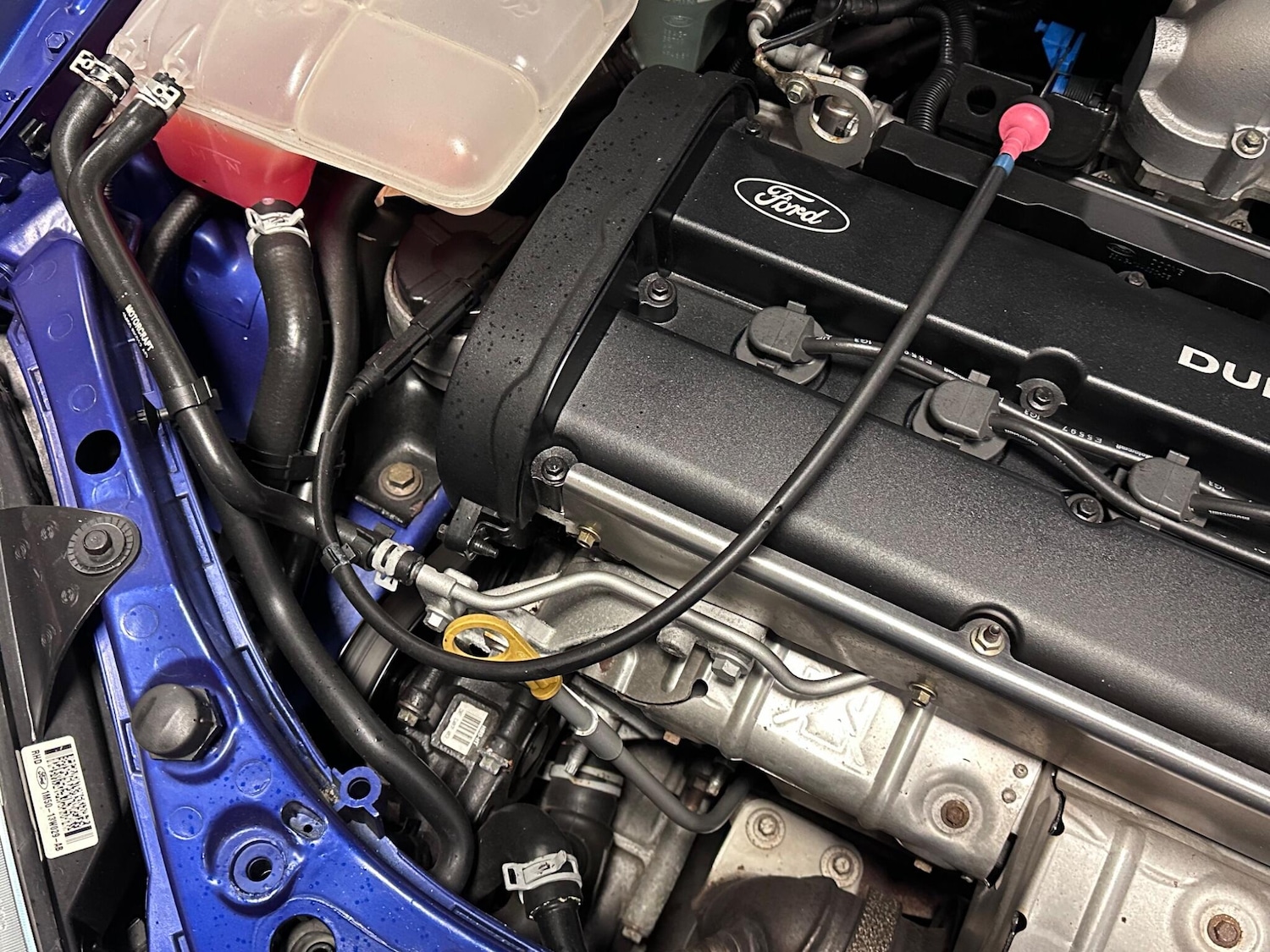 Used Ford Focus 2003 for sale - 77291125: Photo 48