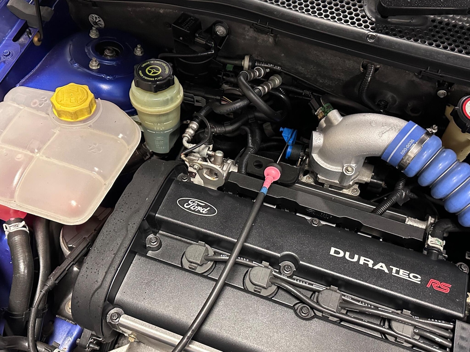 Used Ford Focus 2003 for sale - 77291125: Photo 49