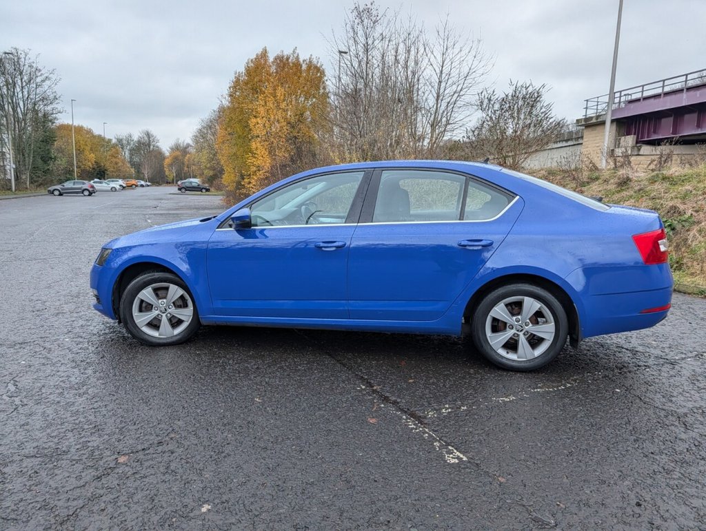 Used Skoda Octavia 2019 for sale - 76642748: Photo 11