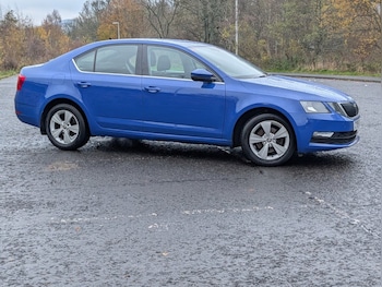 Used Skoda Octavia 2019 for sale - 76642748: Photo