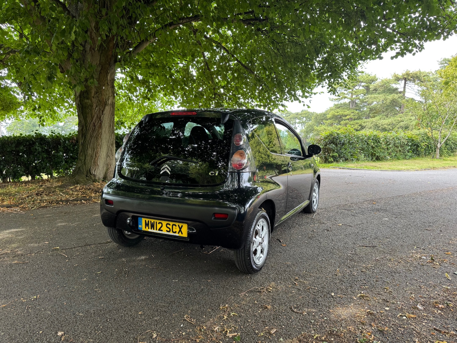 Vehicle 6