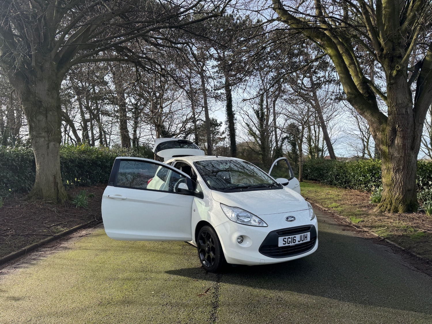 Used Ford Ka 2016 for sale - 77555473: Photo 7