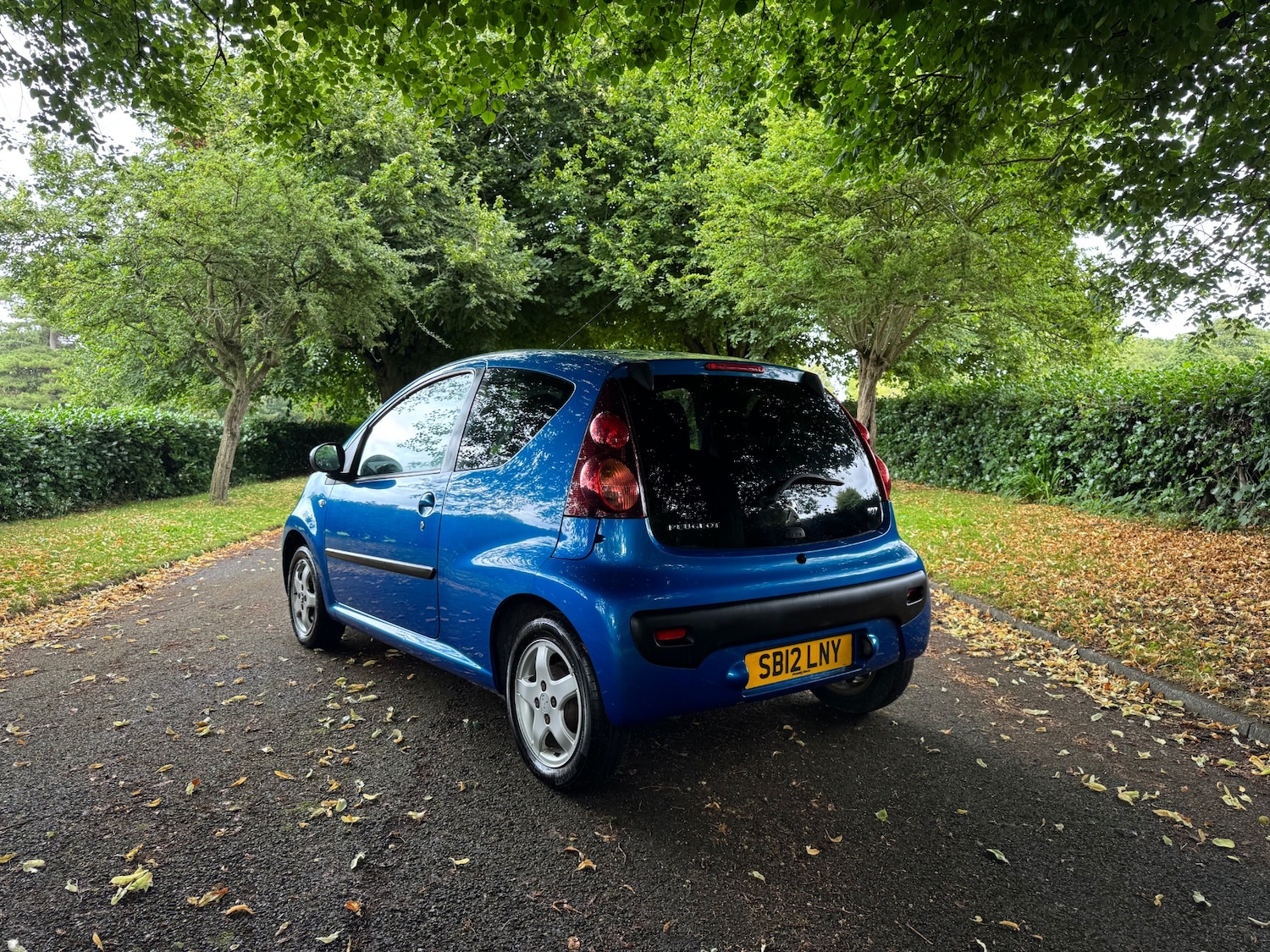 Vehicle 5