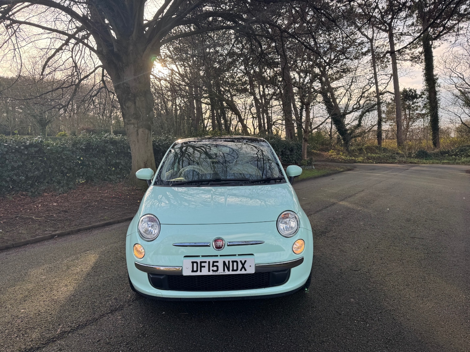 Used Fiat 500 2015 for sale - 77210721: Photo 3