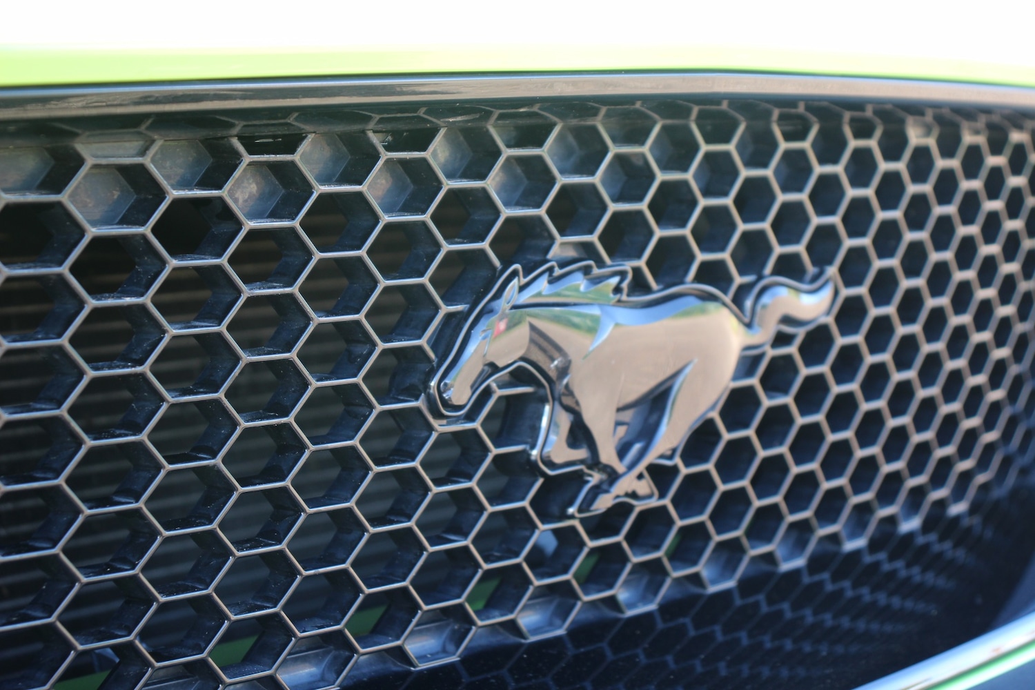 Used Ford Mustang 2020 for sale - 75749264: Photo 38