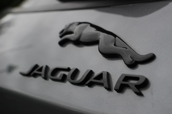 Used Jaguar F-Pace 2019 for sale - 75424654: Photo 25