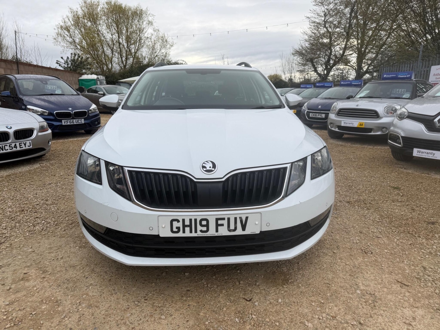Used Skoda Octavia 2019 for sale - 78185405: Photo 3