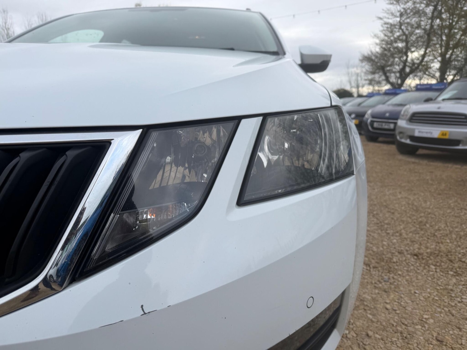 Used Skoda Octavia 2019 for sale - 78185405: Photo 4